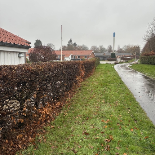 Hjælp til hækklipning i privat have