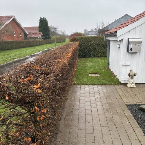 Professionelt havearbejde med hækklipning