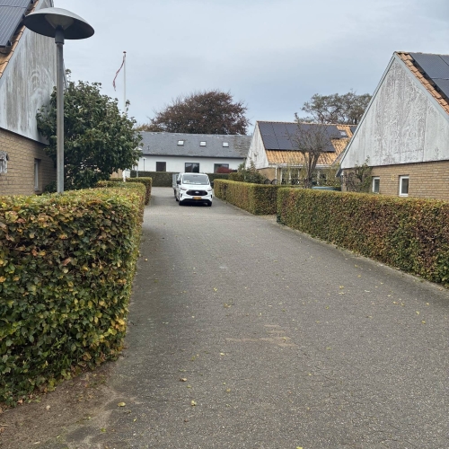 Hvad koster hækklipning af en have