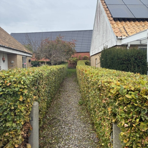 Pris på hækklipning til private boliger