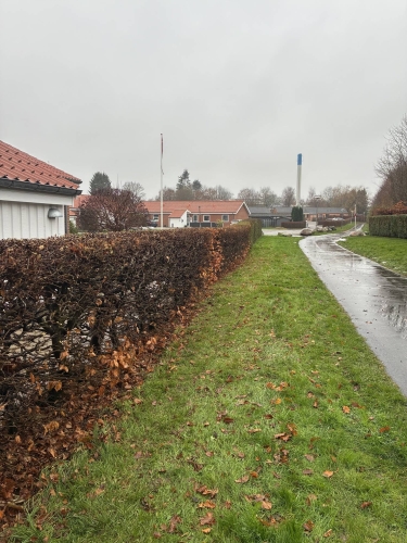 Hjælp til hækklipning i privat have