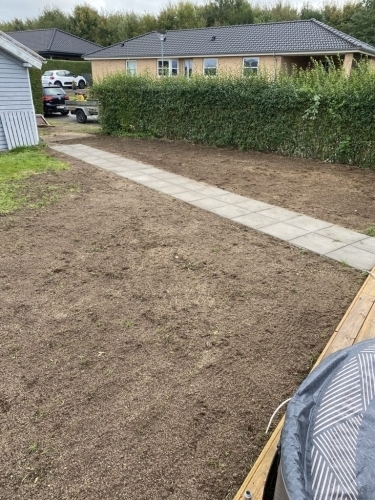 Ny græsplæne i Børkop