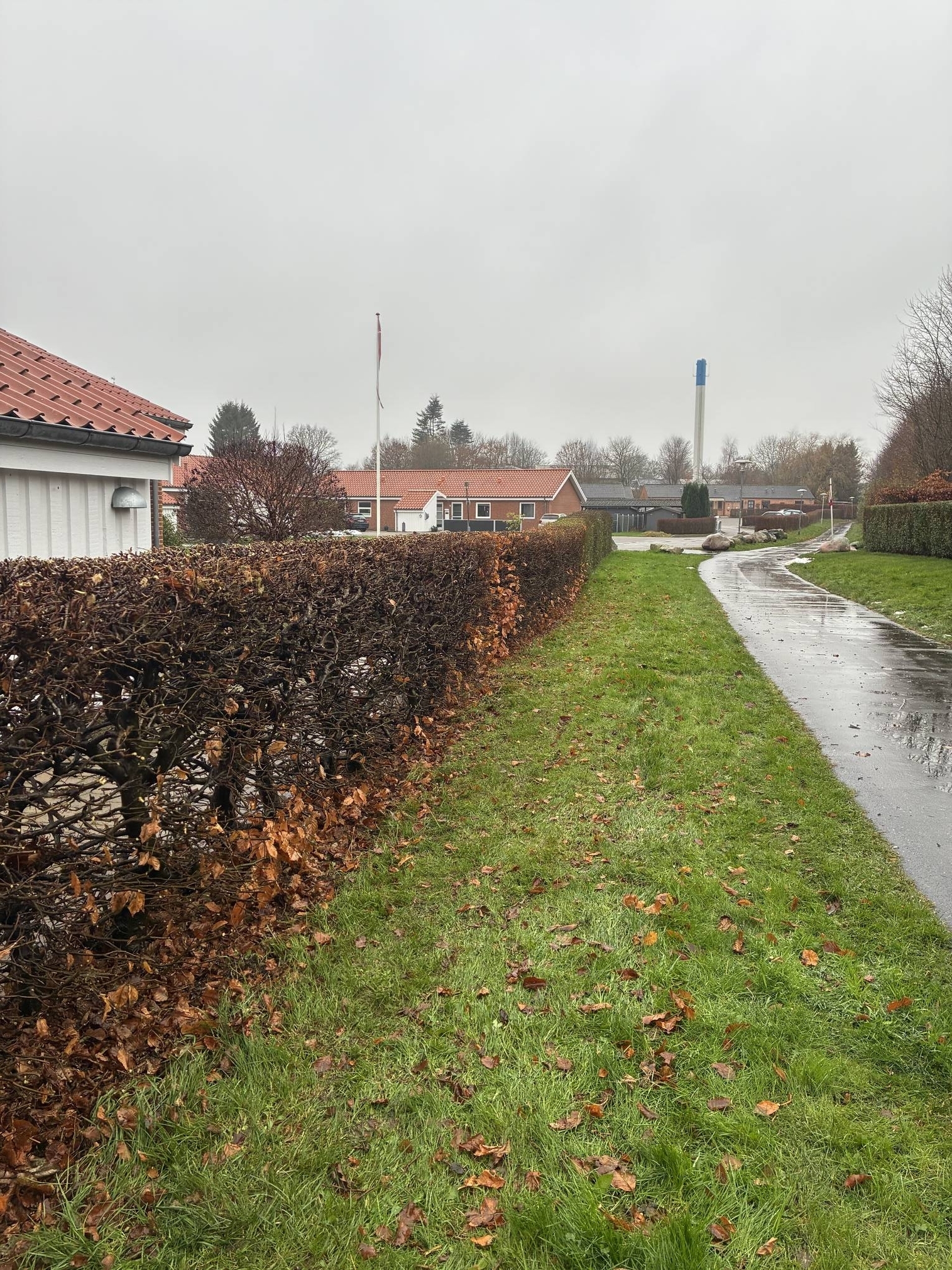 Hjælp til hækklipning i privat have