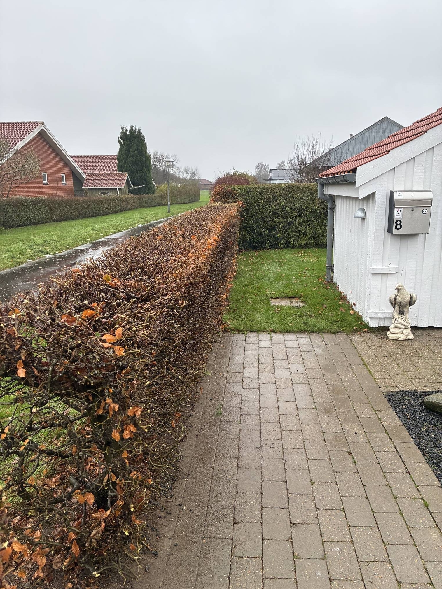Professionelt havearbejde med hækklipning