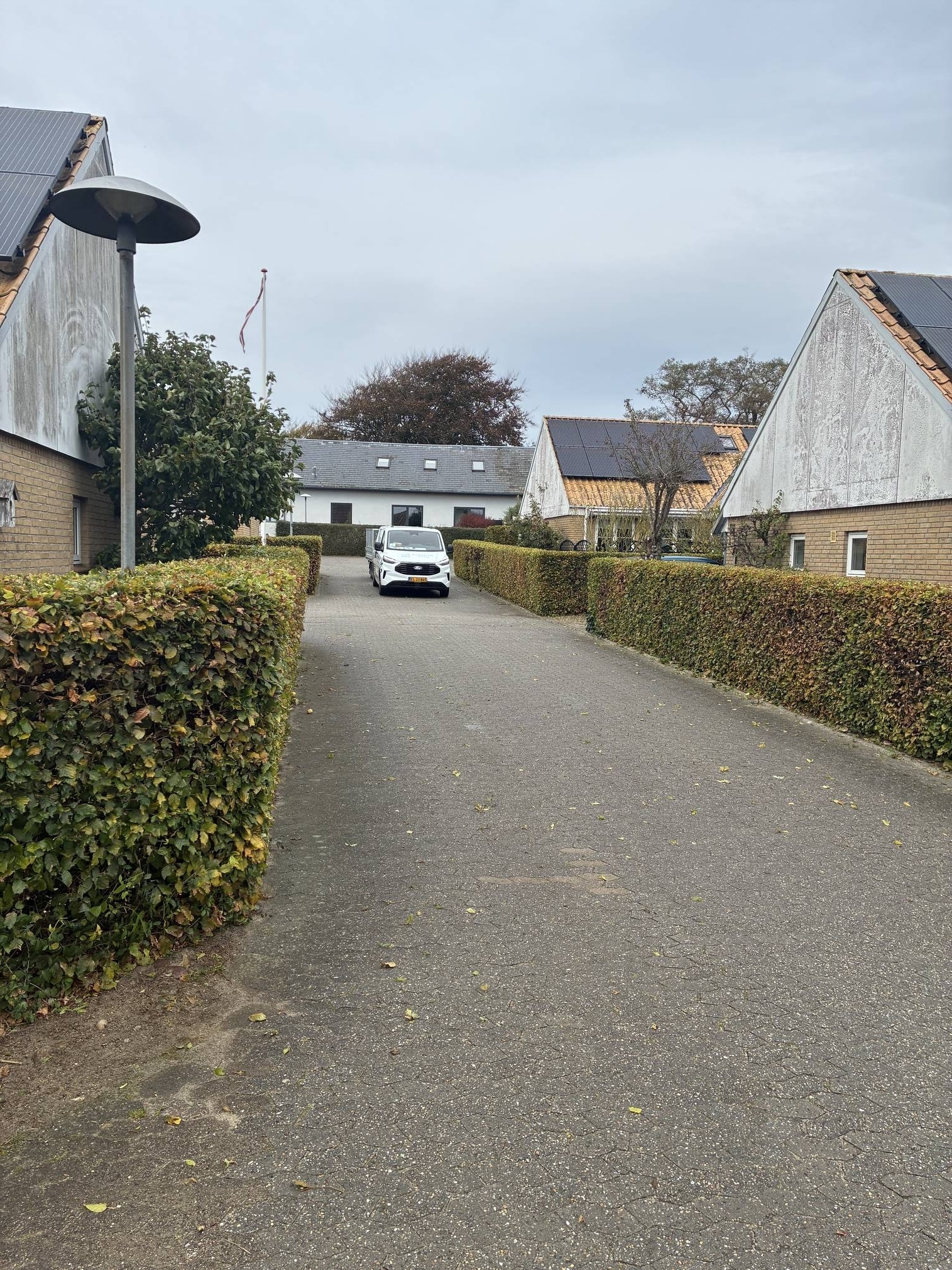 Hvad koster hækklipning af en have