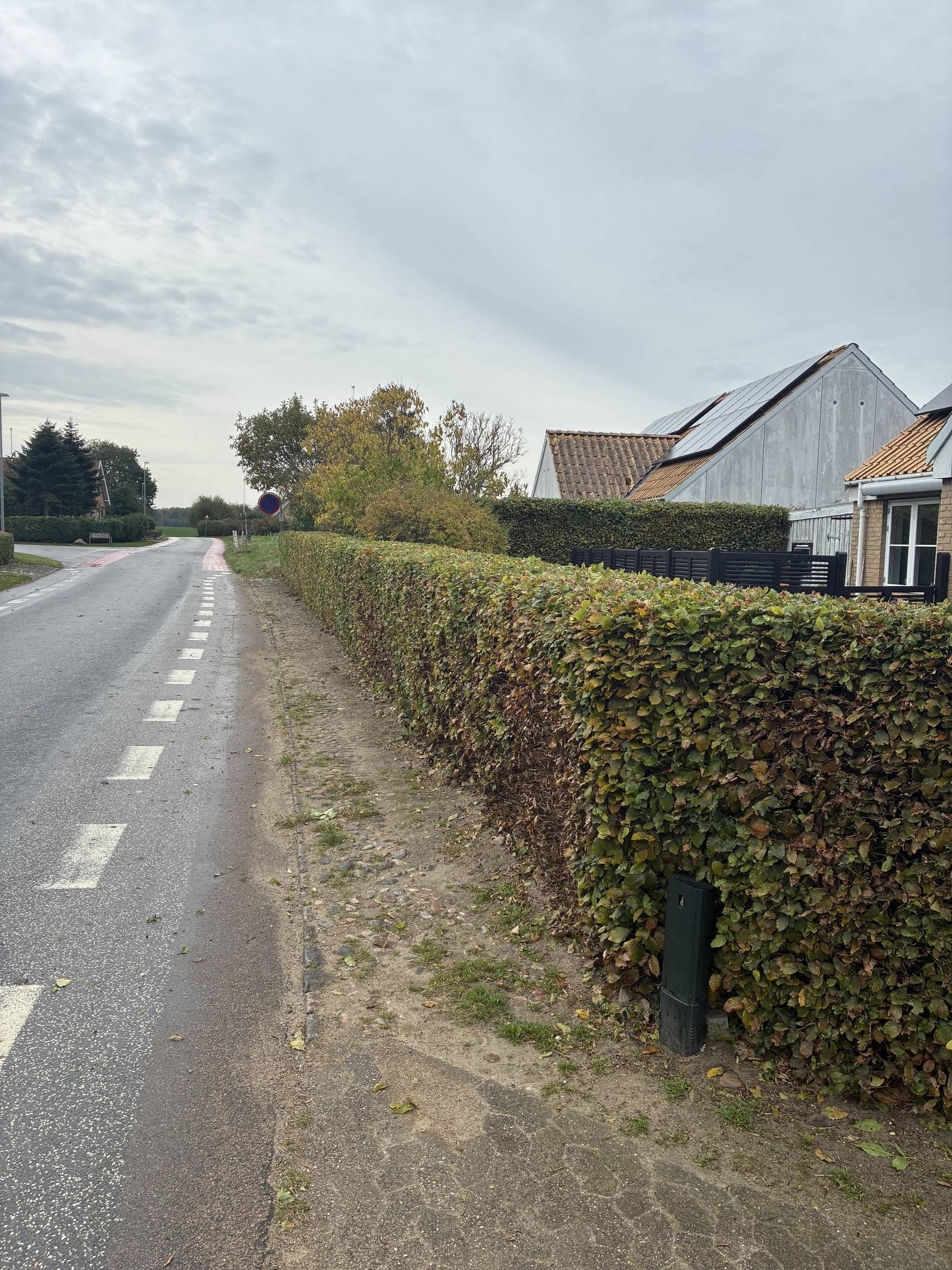 Hækklipning pris afhænger af opgaven