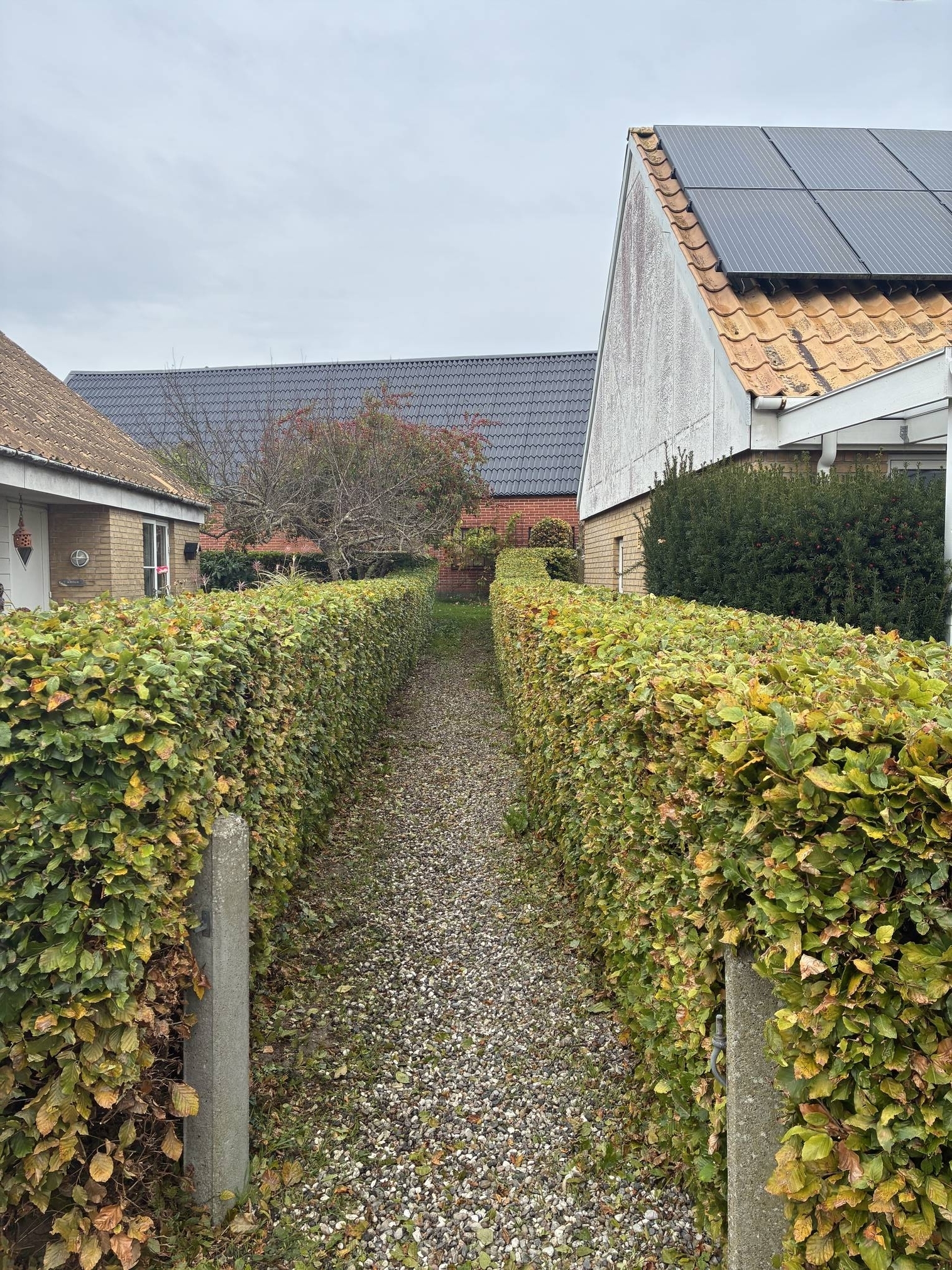 Pris på hækklipning til private boliger